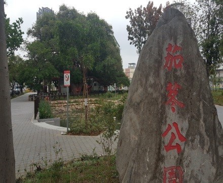 千年茄苳樹公園